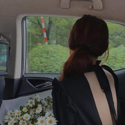 完美盗贼